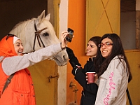 IMG 0799