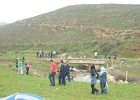 P1040590