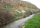 P1040911