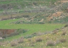P1040946