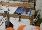 DSC02225