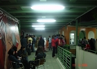 DSC02504