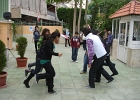 DSC04341