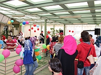 IMG 8619