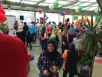 IMG 8737-