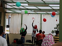 IMG 8784